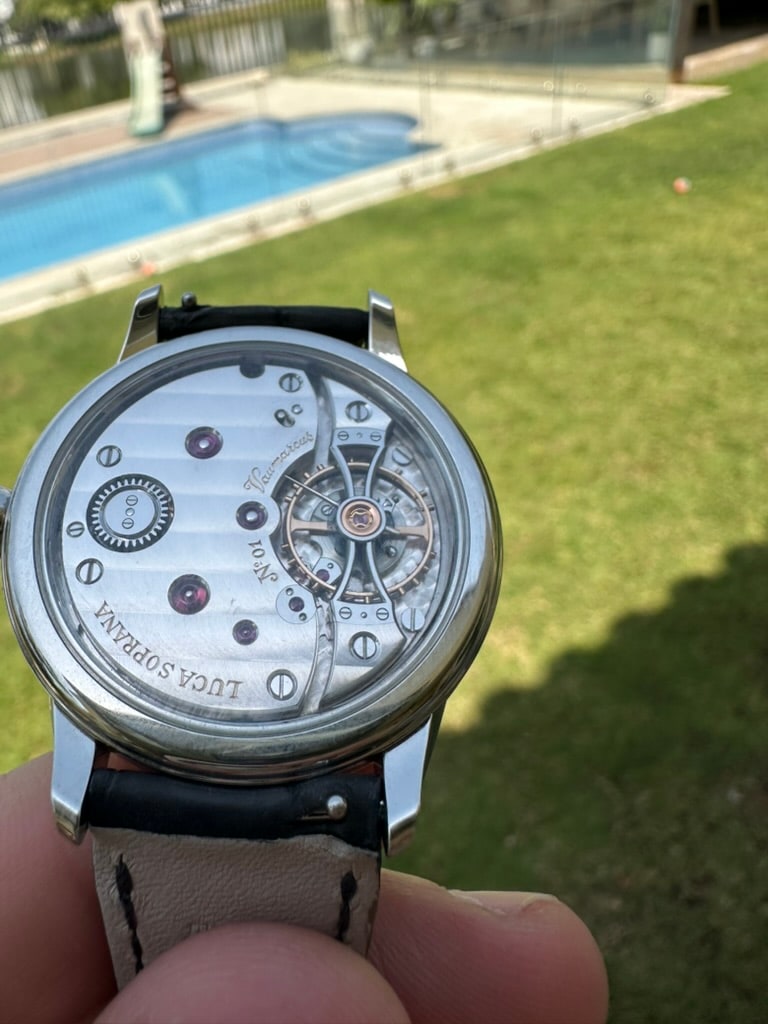 Luca Soprana watch — collector wristshot